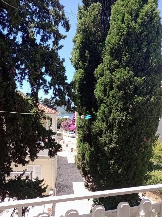 Apartment Brcic Biograd Na Moru Extérieur photo